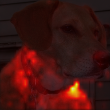 26_3_attn.png