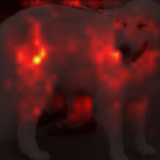 26_5_attn.png