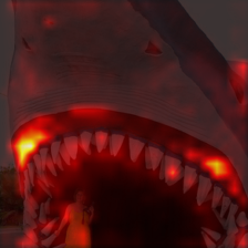 284_1_attn.png