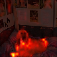28_3_attn.png