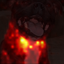 29_0_attn.png