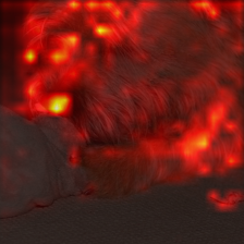 29_1_attn.png