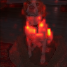29_2_attn.png