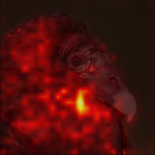 2_4_attn.png
