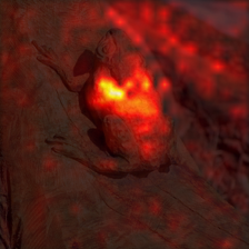 2_5_attn.png