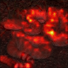 31_2_attn.png