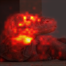 336_2_attn.png