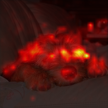 336_8_attn.png