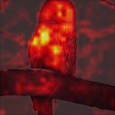 337_2_attn.png