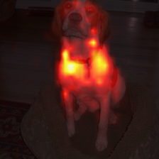 338_8_attn.png