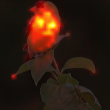 339_2_attn.png