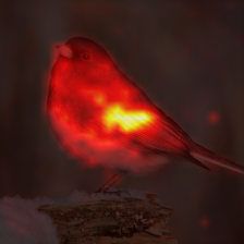 339_3_attn.png
