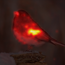 340_0_attn.png