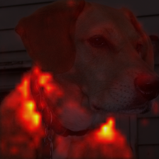 340_1_attn.png