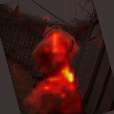 340_2_attn.png