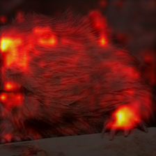 340_6_attn.png