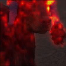 341_9_attn.png