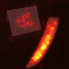 343_3_attn.png