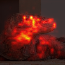 344_0_attn.png