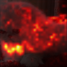 344_1_attn.png