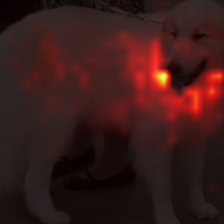 345_2_attn.png