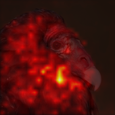 346_0_attn.png