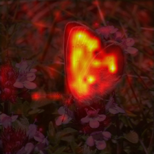 349_1_attn.png