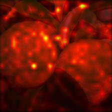 349_7_attn.png