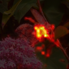 349_9_attn.png