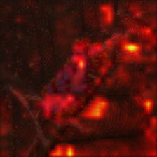 34_1_attn.png
