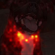 357_9_attn.png