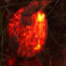 35_6_attn.png