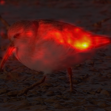 35_8_attn.png