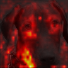 35_9_attn.png