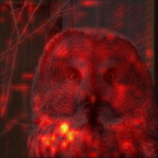 361_0_attn.png