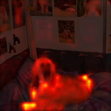 363_2_attn.png