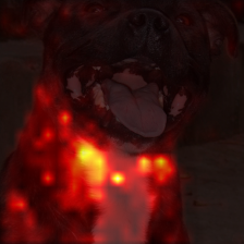 364_0_attn.png