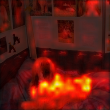 364_5_attn.png