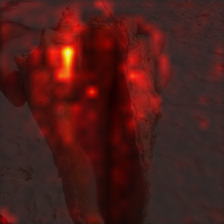 366_9_attn.png