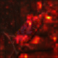 369_1_attn.png