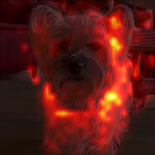 36_0_attn.png
