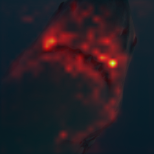 370_0_attn.png