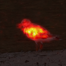 370_8_attn.png