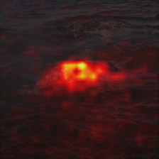 370_9_attn.png
