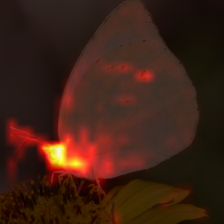 372_8_attn.png