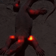 378_0_attn.png