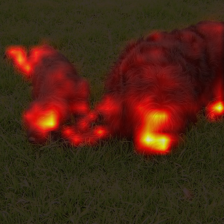 378_3_attn.png