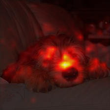 378_5_attn.png