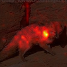 380_8_attn.png