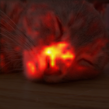 384_1_attn.png